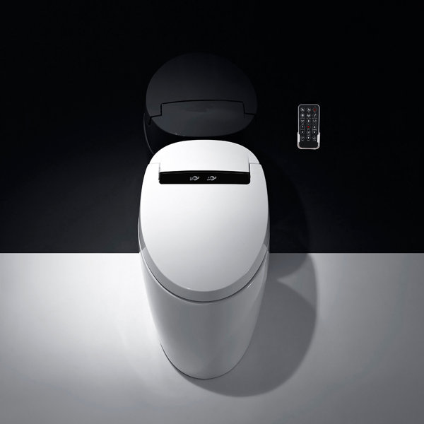 XSIX Smart Bidet Elongated Toilet Bidet, Warm Water Clear, Auto Flush